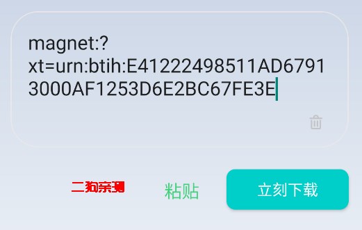 P2P下载器app官方版