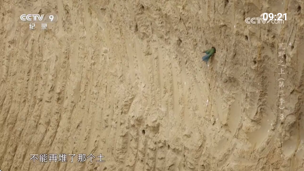 挺好电视最新版