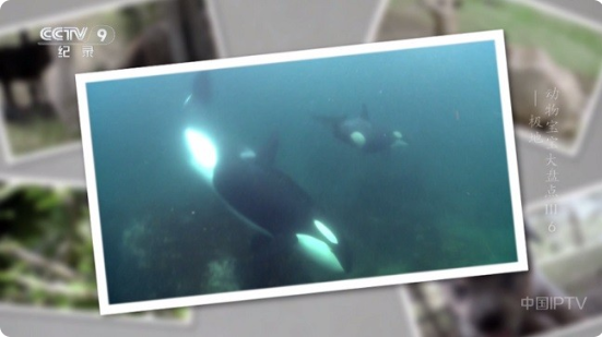 晨瑞影仓官方版