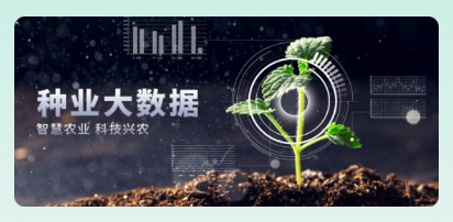 种业通app最新版