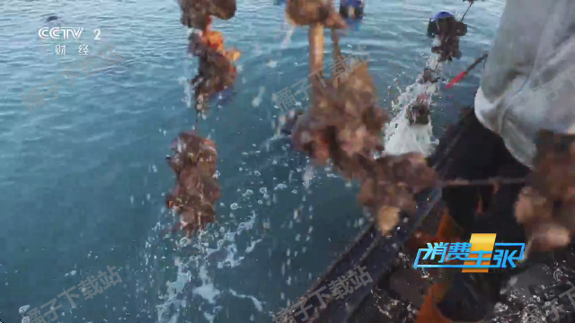 星星影院免费下载安卓版