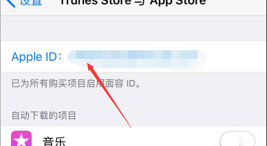 app store软件下载
