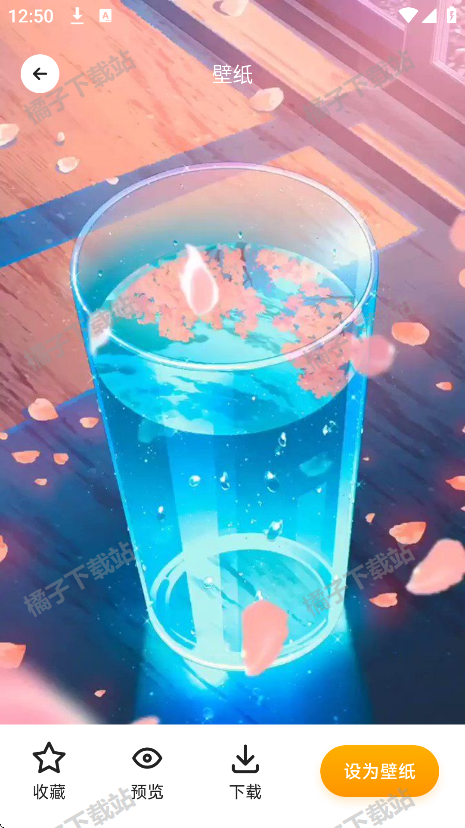 岛遇壁纸app手机版下载