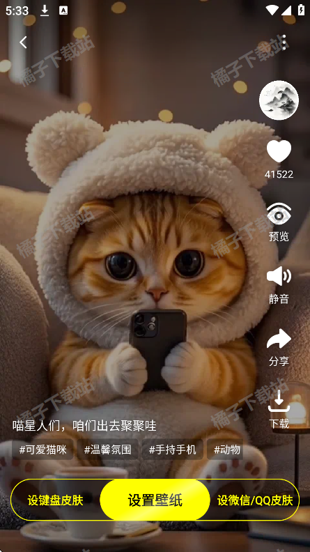 万能壁纸秀手机版下载