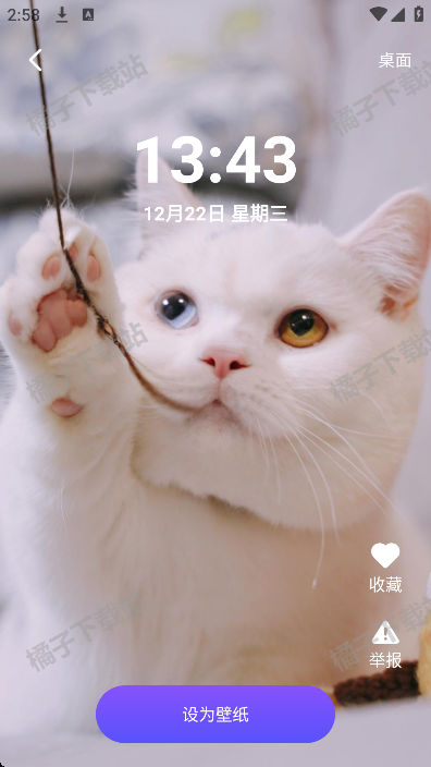 番茄动态壁纸最新版下载