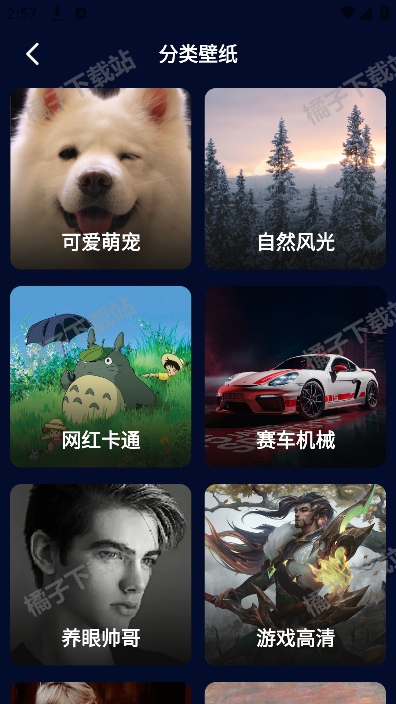 番茄动态壁纸最新版下载