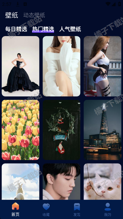 番茄动态壁纸最新版下载