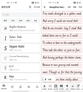 练字大师