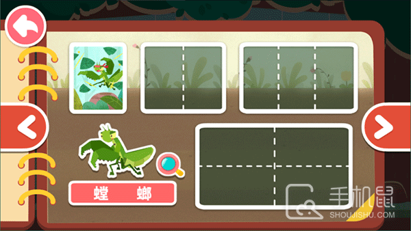 奇妙昆虫日记