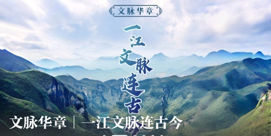 九头鸟FM最新版本