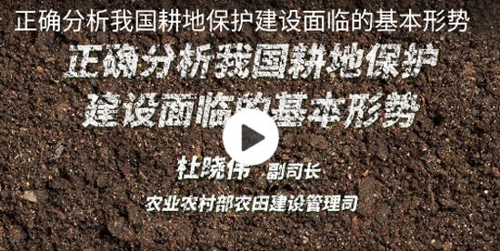 齐鲁乡村网络学院app最新版