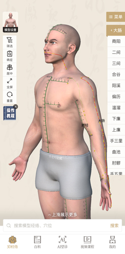 中济经络穴位