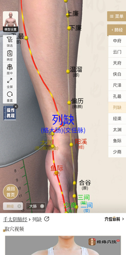 中济经络穴位