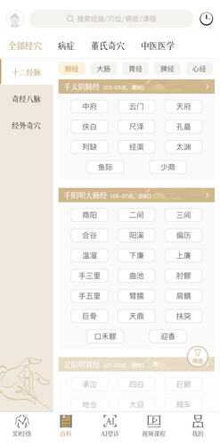 中济经络穴位