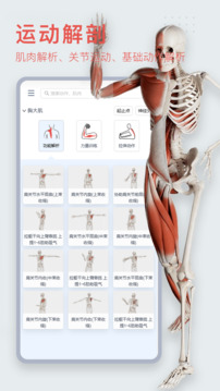 3dbody解剖