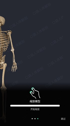 口袋人体解剖怎么操控模型 操作方法介绍