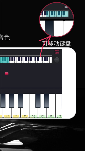 模拟钢琴app V25.5.59截图3