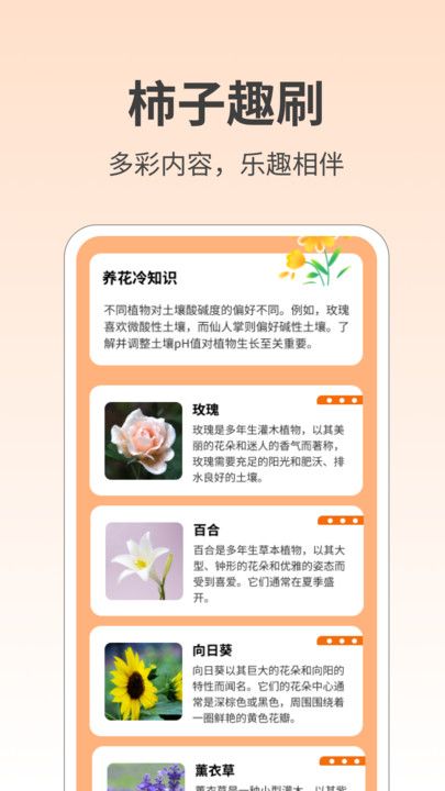 柿子趣刷 V1.0.2截图2