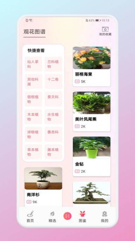 养花小助手app官方版 V1.1截图1