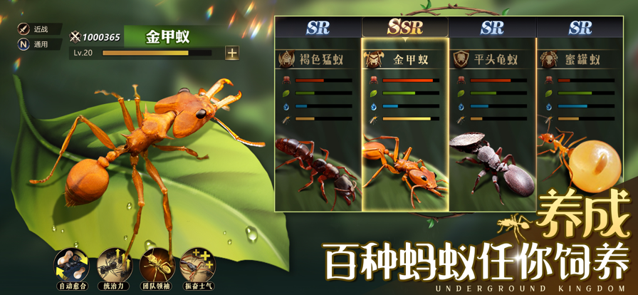 小小蚁国手游官方安卓版 V1.31.0截图2