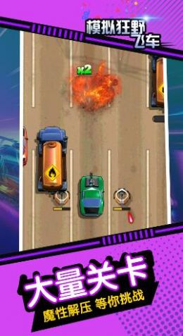 模拟狂野飞车游戏安卓版 V1.0.1截图2