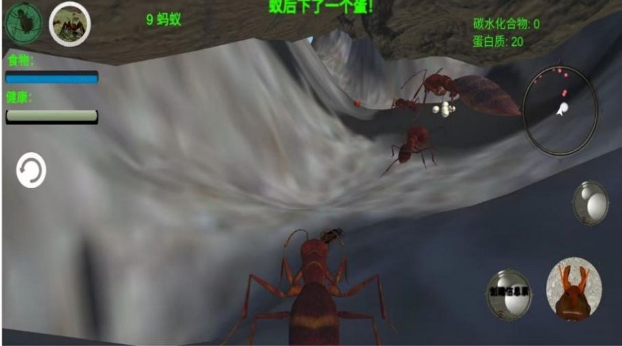 奇妙动物世界探险游戏官方安卓版 V1.0截图1