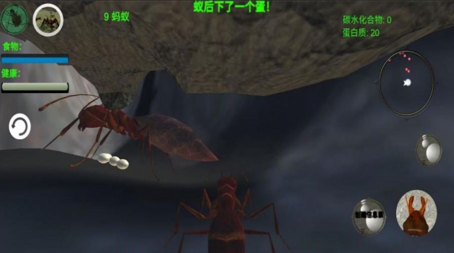 奇妙动物世界探险游戏官方安卓版 V1.0截图2