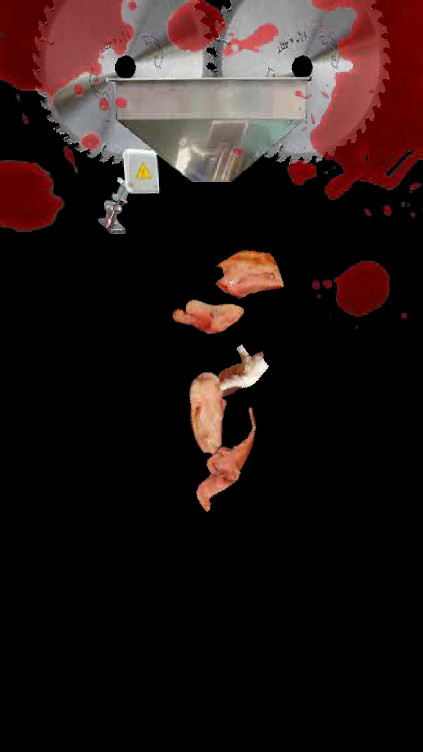 养一只坤坤游戏中文手机版 V1.0.12截图1