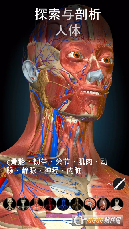 AnatomyLearning(3D 解剖学) V2.1.351 安卓版截图1