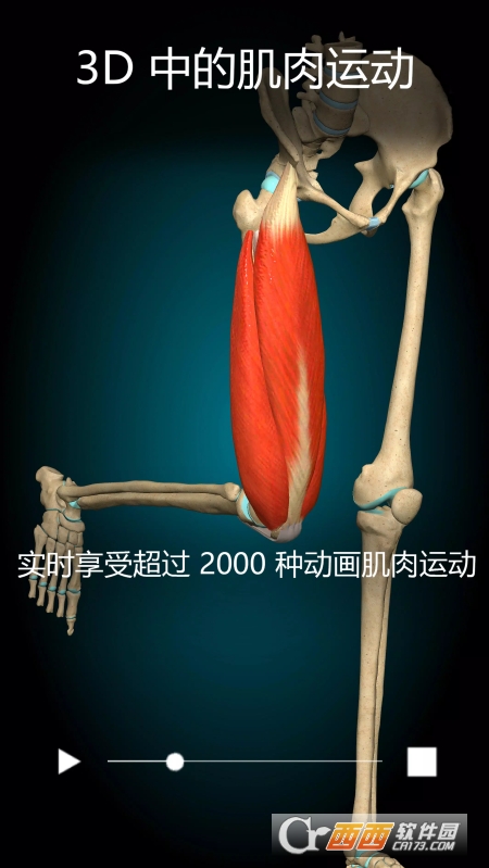 AnatomyLearning(3D 解剖学) V2.1.351 安卓版截图2