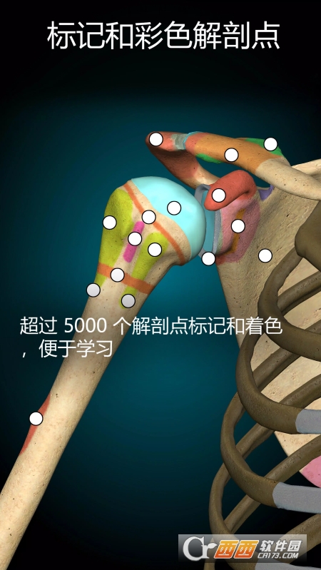 AnatomyLearning(3D 解剖学) V2.1.351 安卓版截图3