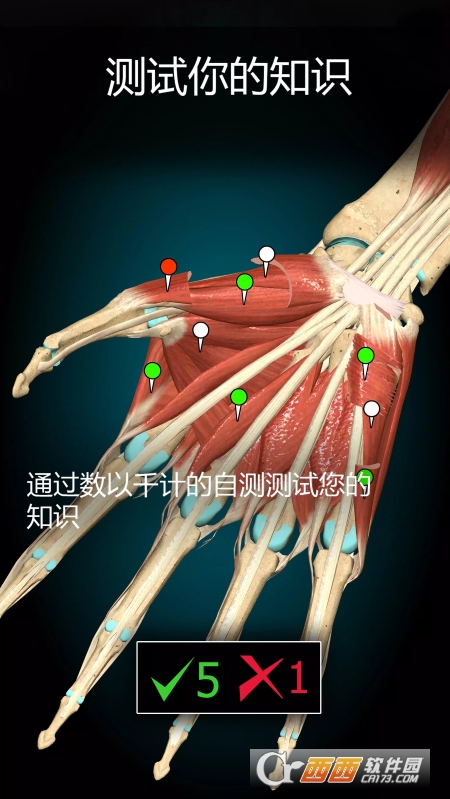 AnatomyLearning(3D 解剖学) V2.1.351 安卓版截图4