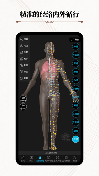 中医经络腧穴软件 V1.0.1 安卓中文版截图2