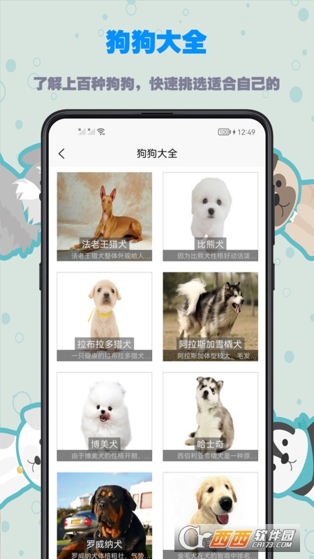 训狗教程app V1.0.0 安卓版截图2