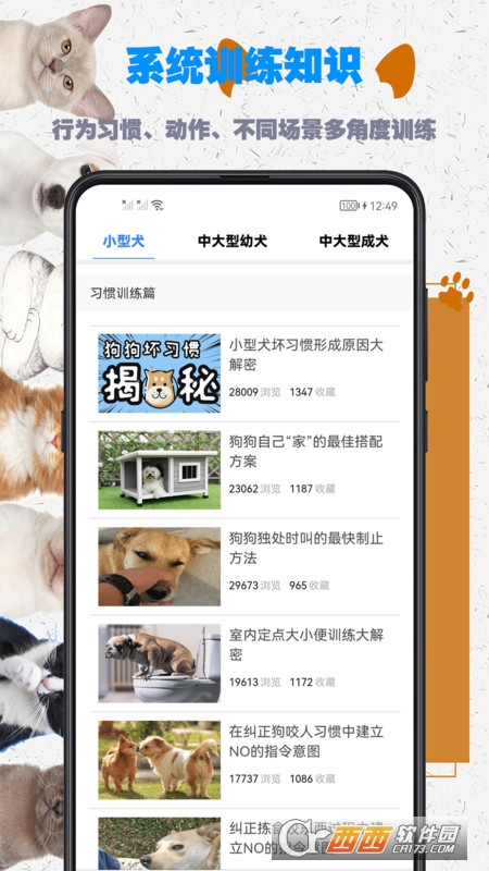 训狗教程app V1.0.0 安卓版截图3