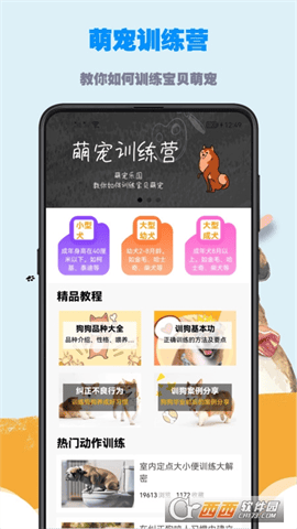 训狗教程app V1.0.0 安卓版截图4