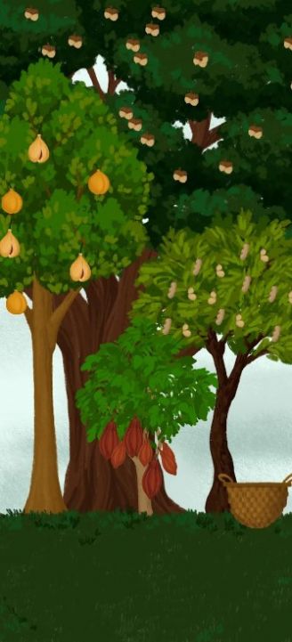 奥利维亚女巫的魔法商店游戏官方版 V1.02截图2