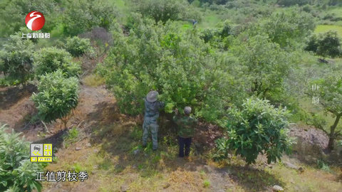 清爽直播电视盒子版 V5.2.0截图1