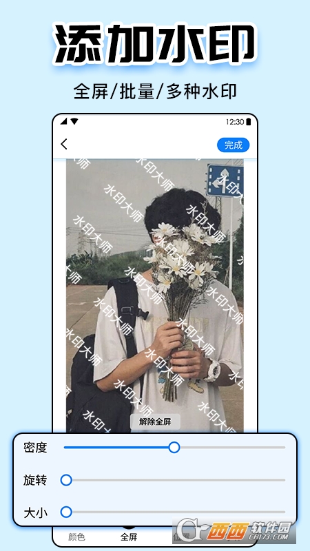 专业水印大师 V4.7截图2