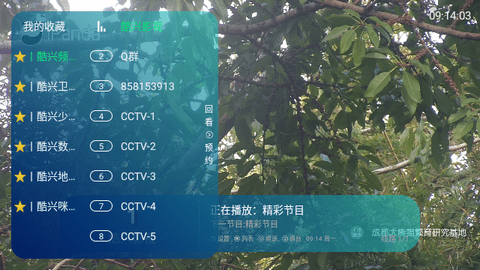 酷兴影视直播TV版 V1.0.5截图1
