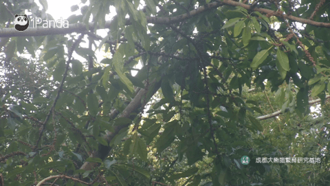 酷兴直播高清免费版 V1.0.5截图2