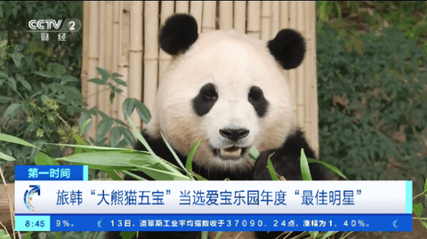 Mtv电视直播电视盒子版 V1.0.1截图2