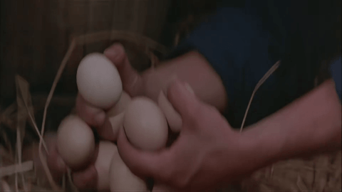 电信电视TV最新版 V3.0.9.1截图1