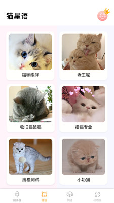 翻译猫语言翻译器 V1.0.2截图1