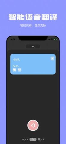 极刻翻译 V1.0截图3