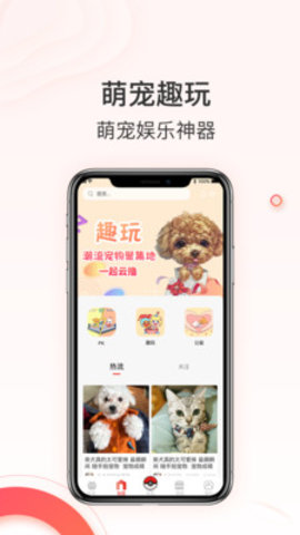 相宠 V1.0.7截图3