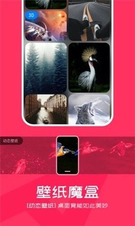 芒果壁纸 V3.2.7 手机版截图2