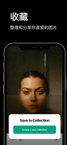 Pexels V1.4.0截图2
