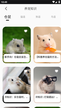 仓鼠翻译器宠物对话 V1.0.0截图1