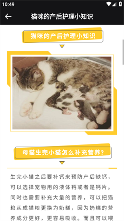 仓鼠翻译器宠物对话 V1.0.0截图4